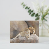 Carte Postale Ensemble (Debout devant)