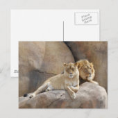 Carte Postale Ensemble (Devant / Derrière)