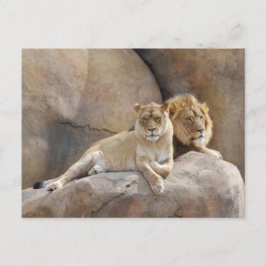 Carte Postale Ensemble (Devant)