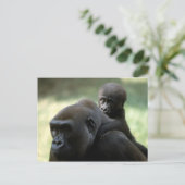 Carte Postale Ensemble de faune - Primates 11 (Debout devant)
