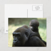 Carte Postale Ensemble de faune - Primates 11 (Devant / Derrière)
