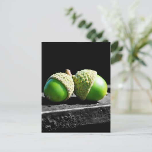 Carte Postale Ensemble pour toujours (Debout devant)