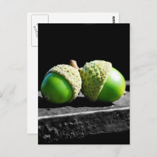 Carte Postale Ensemble pour toujours (Devant / Derrière)