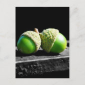 Carte Postale Ensemble pour toujours (Devant)