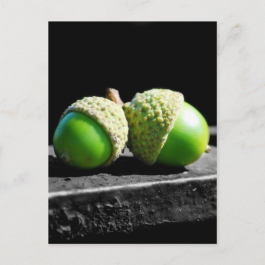 Carte Postale Ensemble pour toujours (Devant)