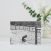 Carte Postale Ensemencer les graines de l'amour (Debout devant)