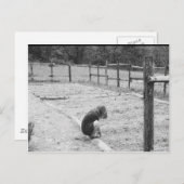 Carte Postale Ensemencer les graines de l'amour (Devant / Derrière)