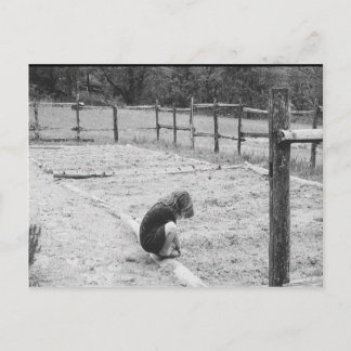 Carte Postale Ensemencer les graines de l'amour