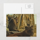 Carte Postale Entendez-moi Rugir ! (Devant / Derrière)