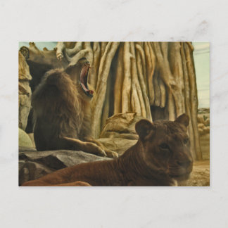 Carte Postale Entendez-moi Rugir !