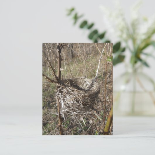 Carte postale Entier vide (Debout devant)