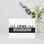 CARTE POSTALE ENTLEBUCHER SENNEHUND_ (Debout devant)