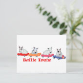 Carte Postale Entraînement d'un chiot Bull Terrier (Debout devant)