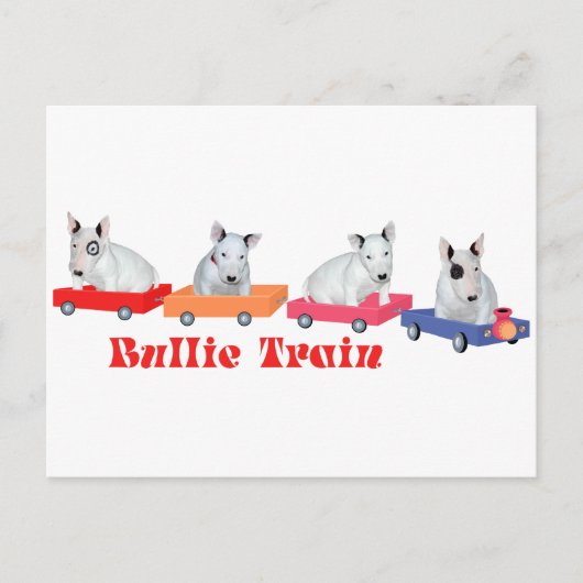 Carte Postale Entraînement d'un chiot Bull Terrier (Devant)