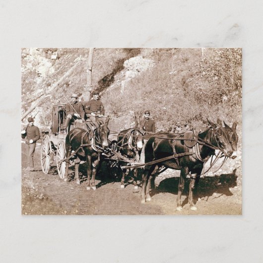 Carte Postale Entraîneur de stade de bullion Vintage (Devant)