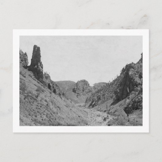 Carte Postale Entraîneur tiré à cheval dans la crête fantôme Pho (Devant)