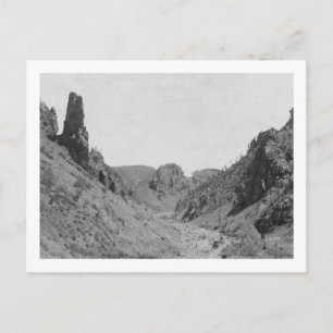 Carte Postale Entraîneur tiré à cheval dans la crête fantôme Pho