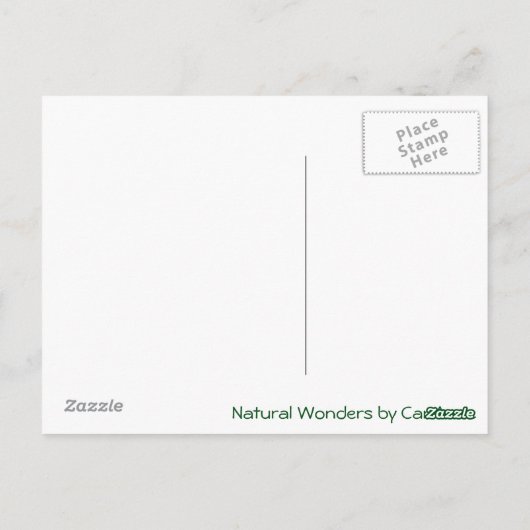 Carte Postale Entrant, Sortant, en cours (Dos)