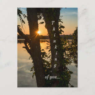 Carte Postale Entre Les Arbres Lever De Soleil Penser À Votre Ca