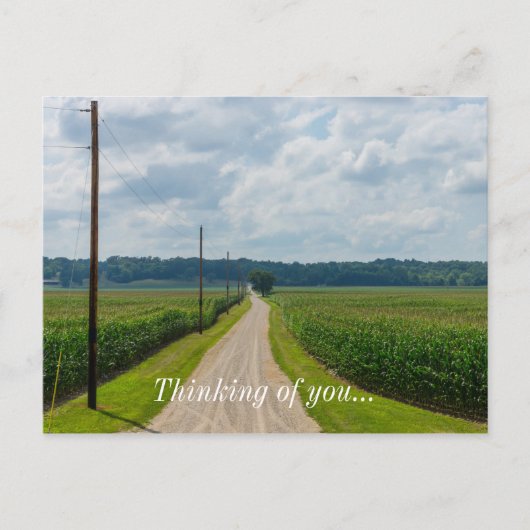 Carte Postale Entre les champs de maïs (Devant)