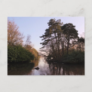 Carte Postale Entre Les Îles, Lac Roath Park, Cardiff.