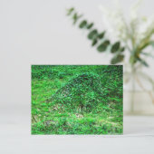 Carte Postale Entrée de Faery I (Debout devant)