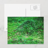 Carte Postale Entrée de Faery I (Devant / Derrière)