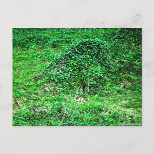 Carte Postale Entrée de Faery I (Devant)