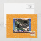 Carte Postale Entrée du côté sombre (Devant / Derrière)