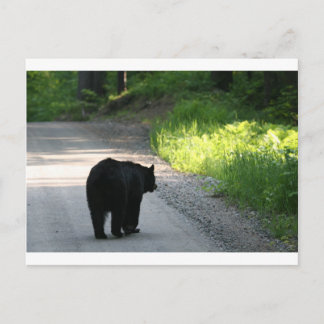 Carte Postale entrer dans la lumière