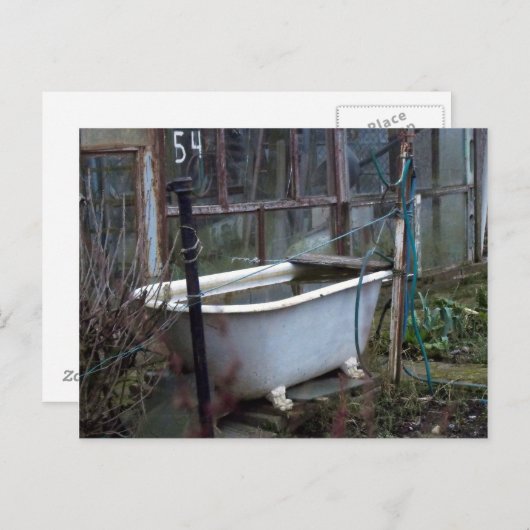 Carte Postale Envie d'un bain ? (Devant / Derrière)