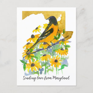 Carte Postale Envoi Amour Maryland Baltimore Fleurs Orioles