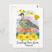 Carte Postale Envoi d'amour à partir des cailles de Californie (Devant / Derrière)