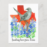 Envoi d'amour au Texas Mockingbird Bluebonnets