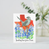 Carte Postale Envoi d'amour au Texas Mockingbird Bluebonnets (Debout devant)