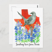 Carte Postale Envoi d'amour au Texas Mockingbird Bluebonnets (Devant / Derrière)