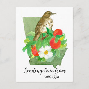 Carte Postale Envoi d'amour de Georgia Bird Peach Rose