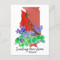 Envoi D'Amour De Violets Cardinaux De L'Illinois