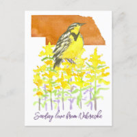 Envoi d'amour Nebraska Meadowlark Goldenrod Fleurs
