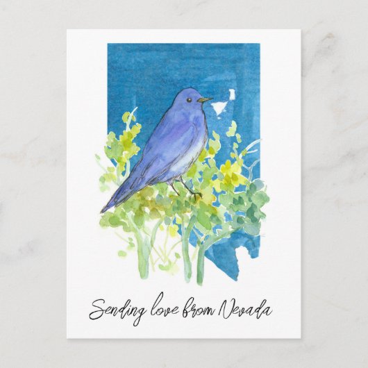 Carte Postale Envoi d'amour Nevada Bluebird Sagebrush (Devant)