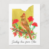 Carte Postale Envoi d'amour Ohio Cardinal Oiseaux oeillets (Devant)