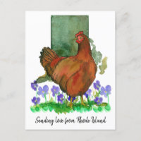 Envoi d'amour Rhode Island Violets de poulet rouge
