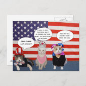 Carte Postale Envoyez ces chats chez vous ! (Devant / Derrière)