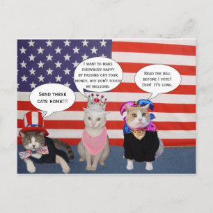 Carte Postale Envoyez ces chats chez vous !