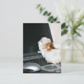 Carte Postale Envoyez-moi un courriel ! (Debout devant)