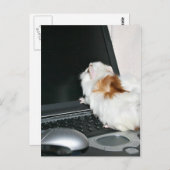 Carte Postale Envoyez-moi un courriel ! (Devant / Derrière)