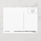Carte Postale Épais (Dos)