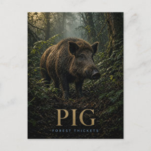 Carte Postale Épaisses broussailles de forêt de porc ANIMAL faun