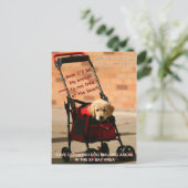 Carte Postale Épargnez Le Sénateur Boxer De Marcher Le Chien De  (Debout devant)