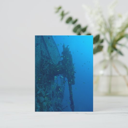 Carte Postale Épave (Debout devant)